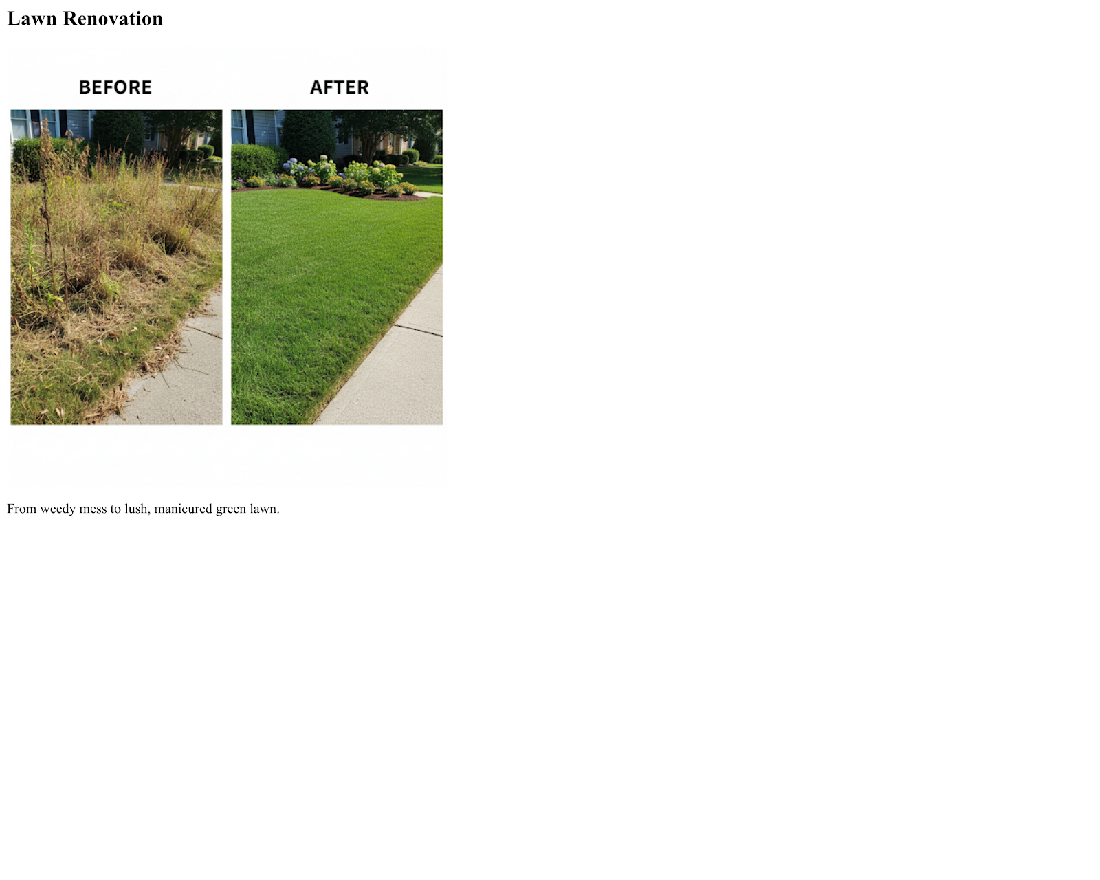 Lawn Renovation — before and after by Lookaround Ltd