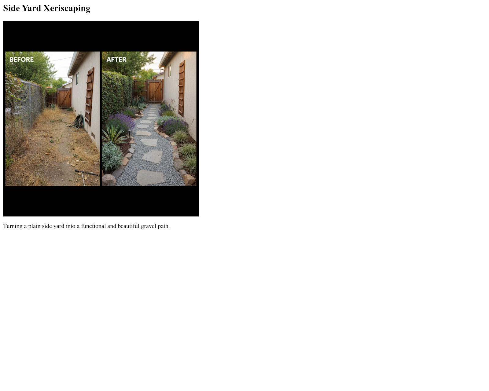 Side Yard Xeriscaping — before and after by Lookaround Ltd