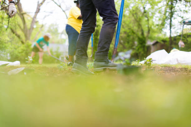 Lookaround Ltd landscaping project in Greenville, SC