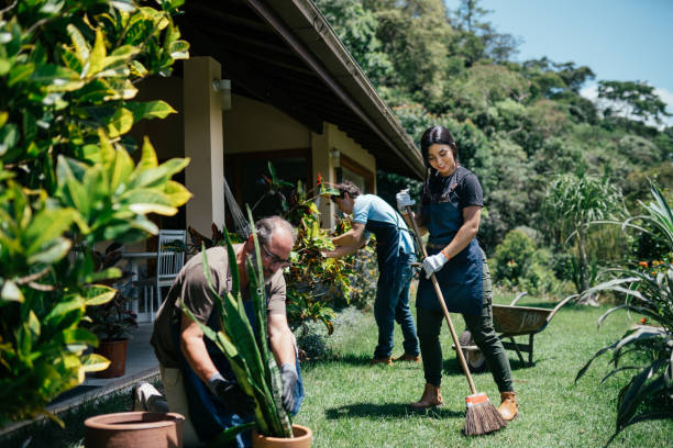 Lookaround Ltd landscaping team at work
